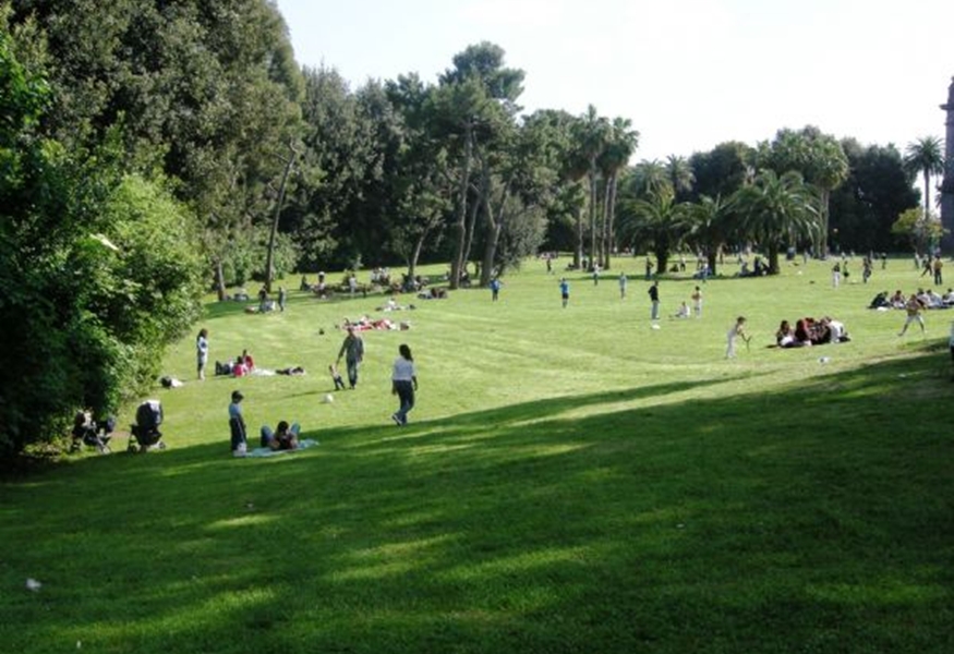 Esplorando le piante by mariano liardo - Ourboox.com