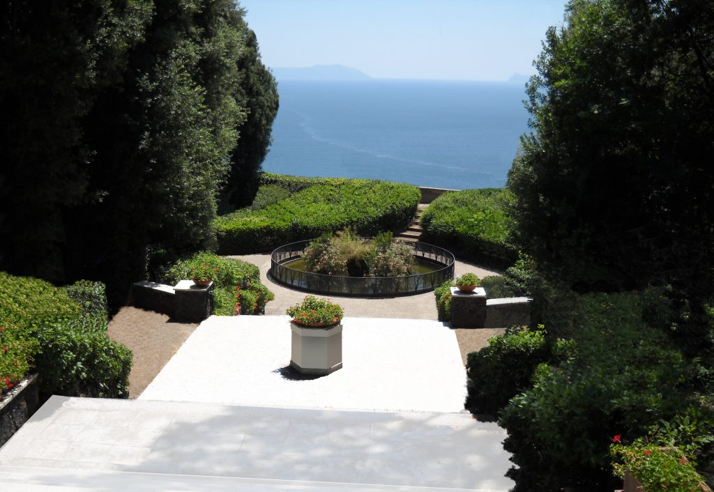 Esplorando le piante by mariano liardo - Ourboox.com