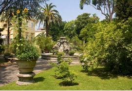 Esplorando le piante by mariano liardo - Ourboox.com