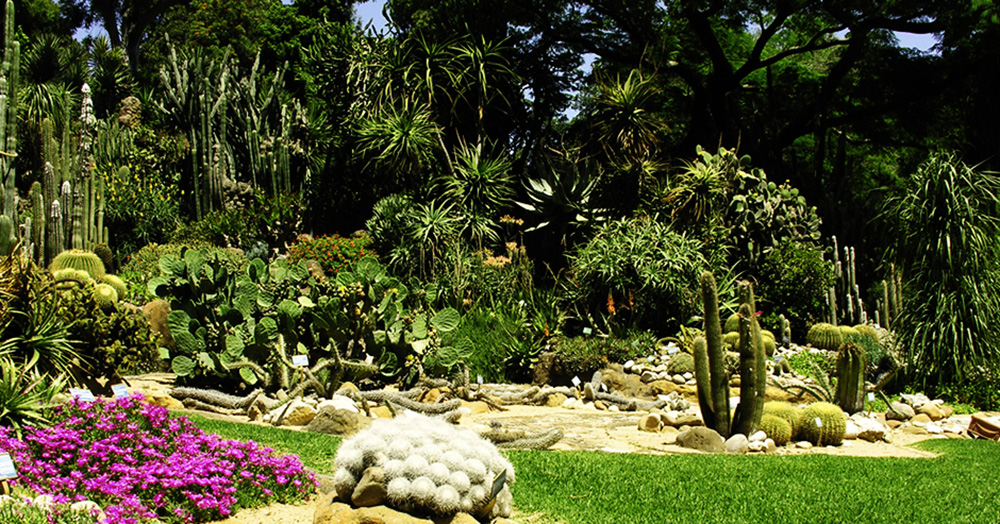 la mia esperienza col recupero di inglese by Giovanni Di Domenico - Ourboox.com