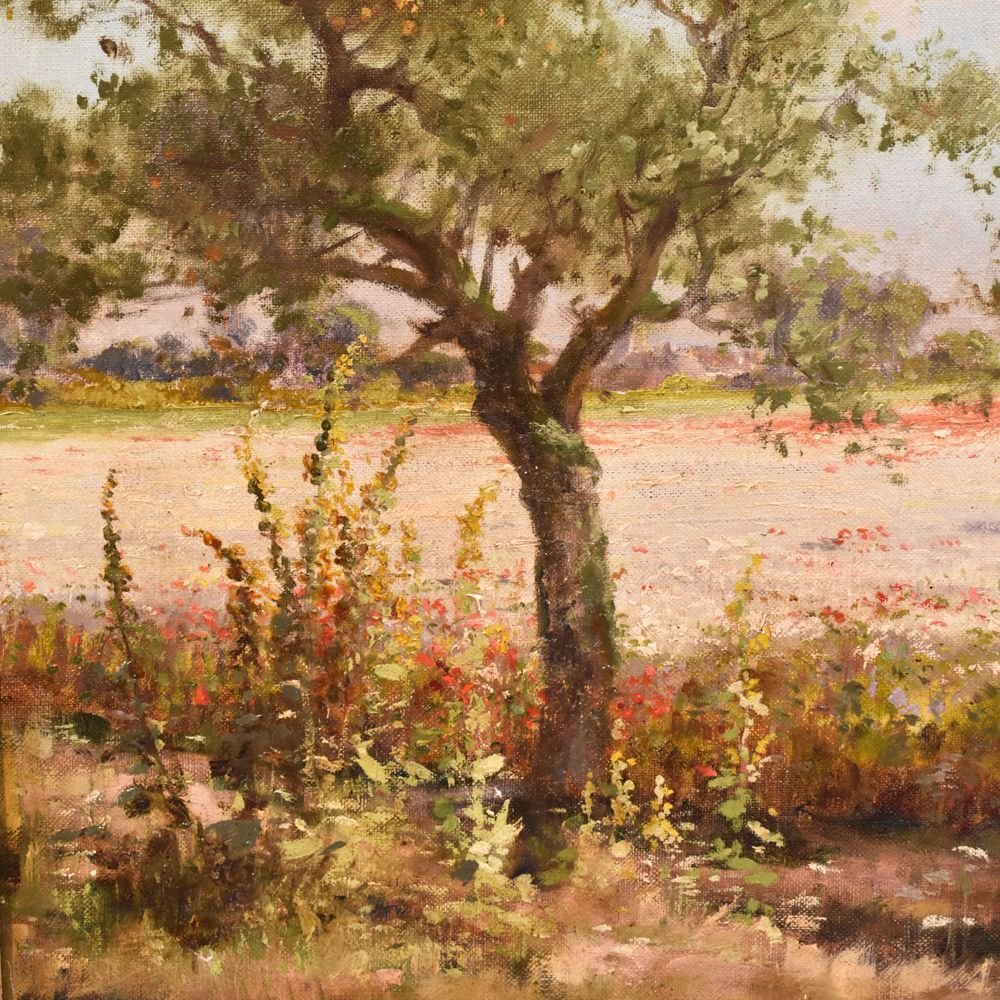 Esplorando le piante by mariano liardo - Ourboox.com