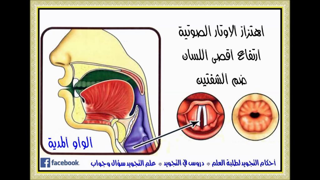 التّجويد والتّجديد by ismaael waked - Ourboox.com