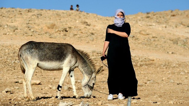 הבדואים בנגב by gershon - Ourboox.com