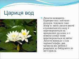 Цікава біологія by Smikovska Tanya - Ourboox.com