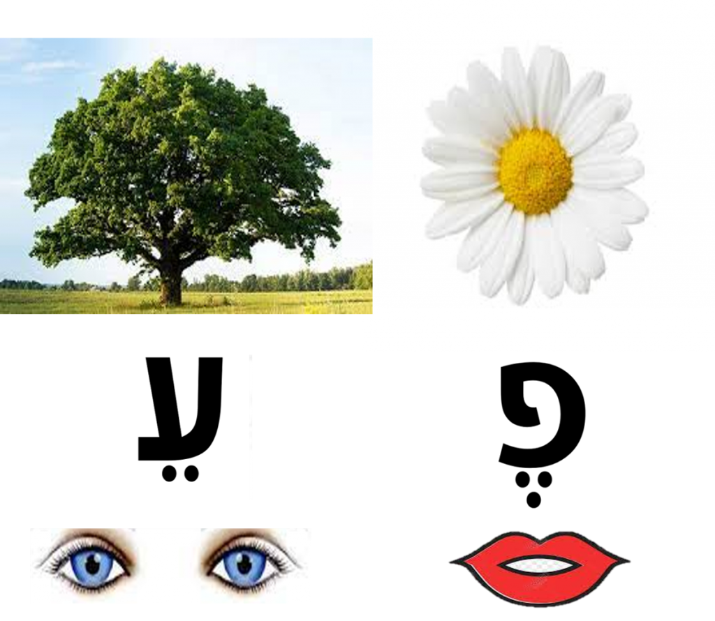 רֵאשִׁית הַקְּרִיאָה עִם תּוֹמְכֵי הַזִּכָּרוֹן by bat sheva - Ourboox.com