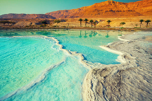 The Dead Sea by asmaa - Ourboox.com