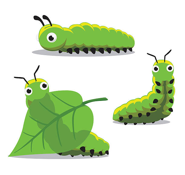 The Life Cycle of Annabella the Butterfly by Emily Girolamo - Ourboox.com
