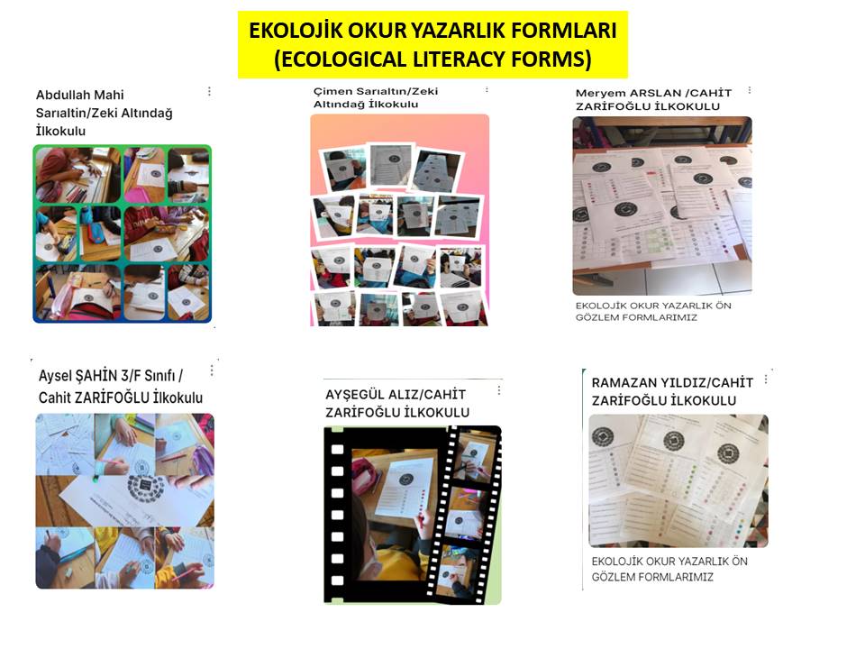 Bİİ KOZALAK VERSEM by Aysel ŞAHİN - Illustrated by AYSEL ŞAHİN - Ourboox.com