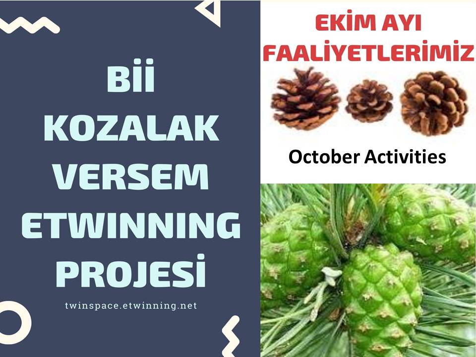 Bİİ KOZALAK VERSEM by Aysel ŞAHİN - Illustrated by AYSEL ŞAHİN - Ourboox.com