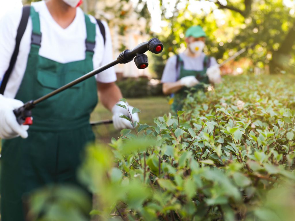Is getting into the Spraying business a good idea? by Rajazaini - Ourboox.com