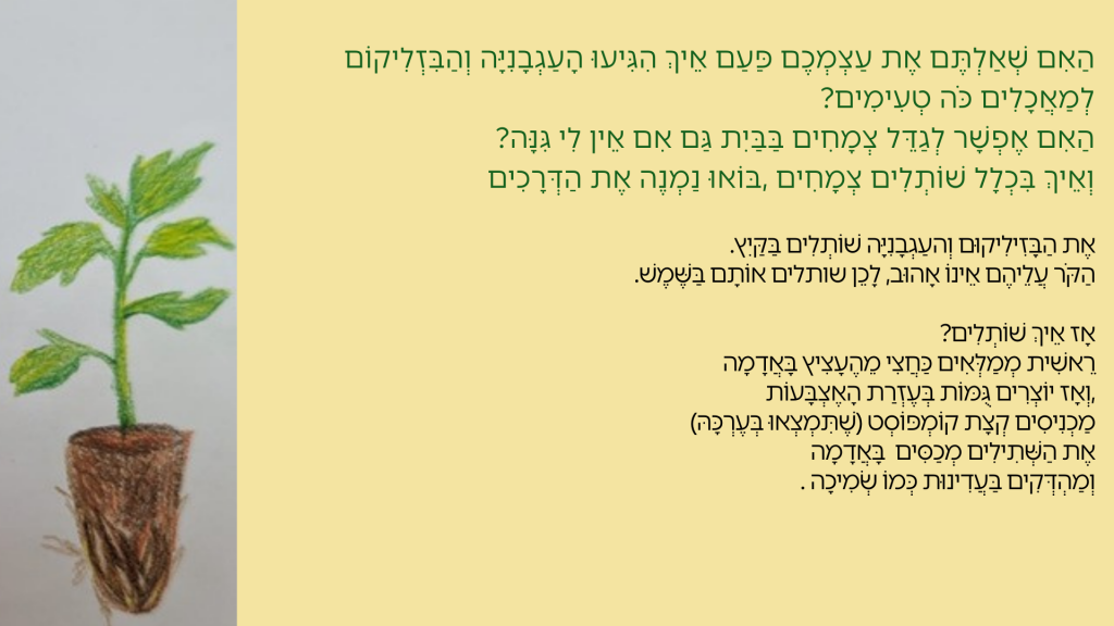 גִּנַּת הֶעָתִיד שֶׁלִּי by Havat Rehovot - Illustrated by כותבות: אמילי סמנצ