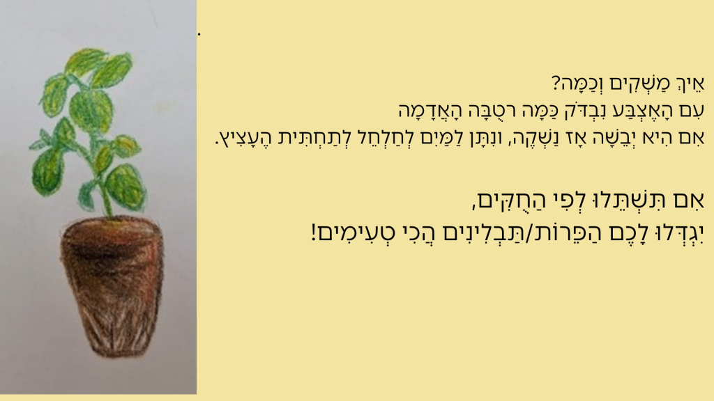 גִּנַּת הֶעָתִיד שֶׁלִּי by Havat Rehovot - Illustrated by כותבות: אמילי סמנצ