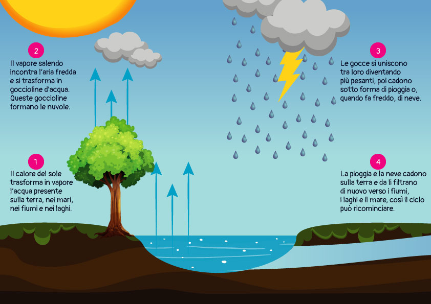 Viaggio dell’acqua by Michela Senesi - Illustrated by Michela Senesi - Ourboox.com