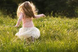 The wonder tree by Sumaya Dahir - Illustrated by  Sumaya Dahir - Ourboox.com