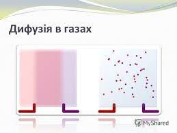 Дифузія в побуті та природі by Viktor - Ourboox.com
