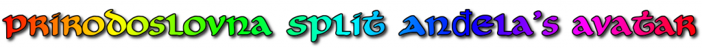 Student Avatars Lists by Teodora Tamas - Ourboox.com