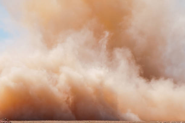 Dust in The Wind by Nicole Shemesh - Ourboox.com