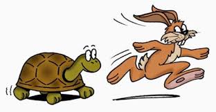 The Tortoise and the Hare by Tasneem - Illustrated by Tasneem Jebreel  - Ourboox.com