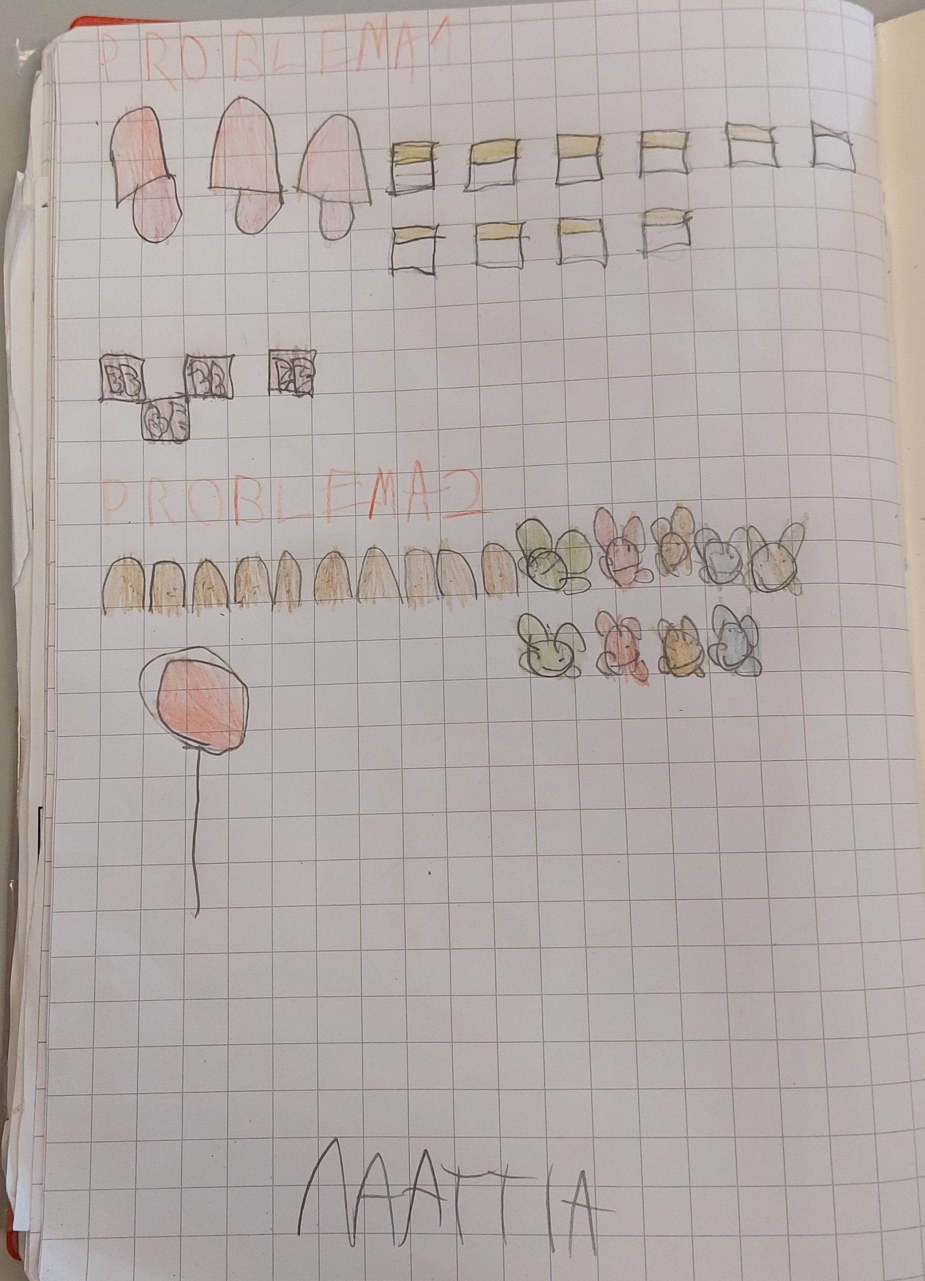 ALLA SCOPERTA DEI PROBLEMI! by Elisa Calo