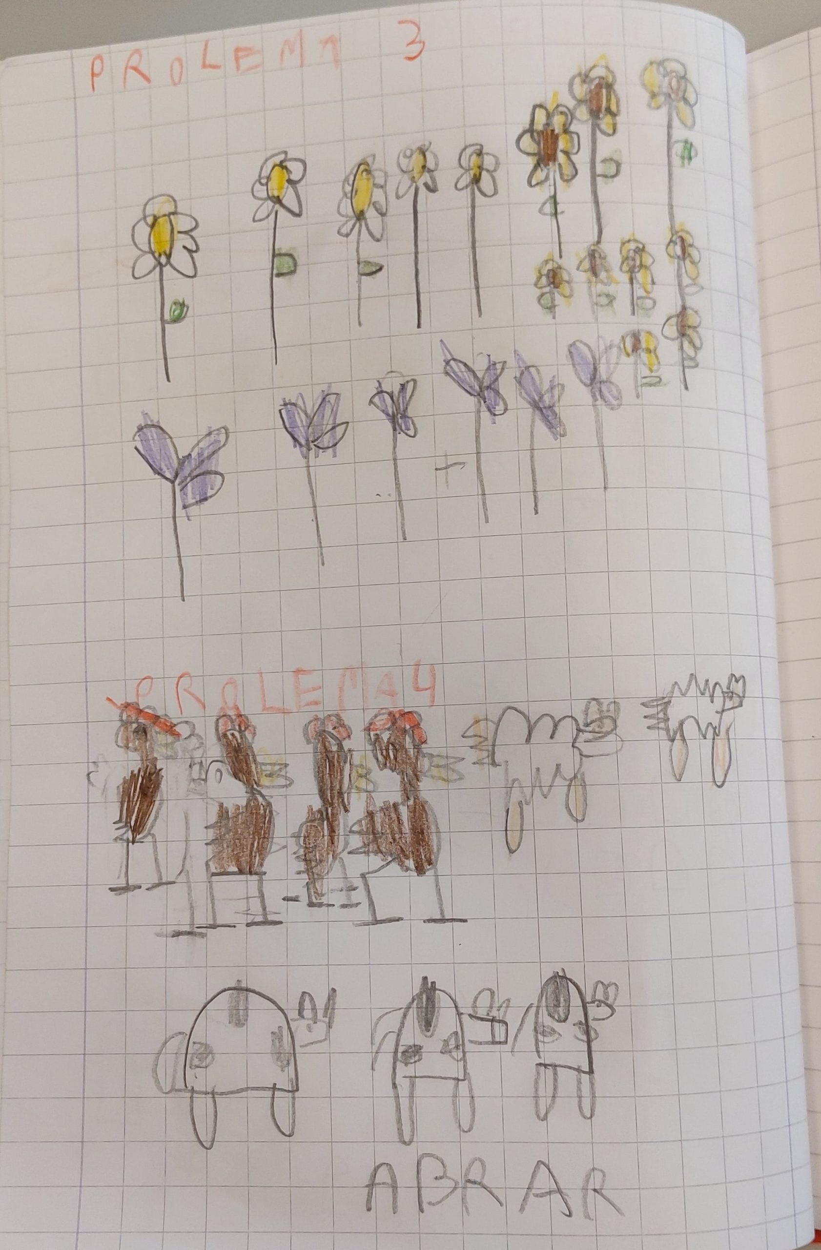 ALLA SCOPERTA DEI PROBLEMI! by Elisa Calo