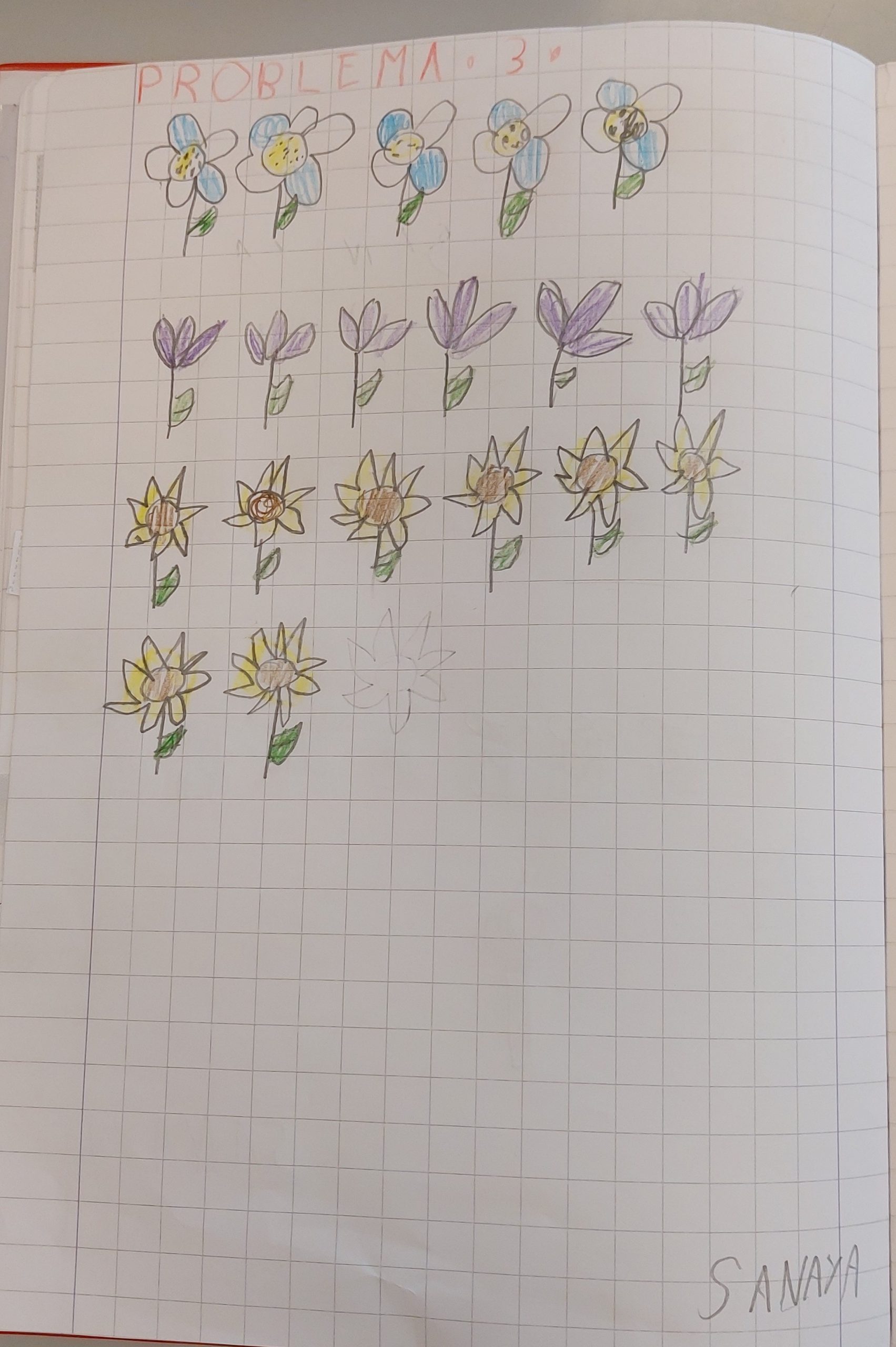 ALLA SCOPERTA DEI PROBLEMI! by Elisa Calo