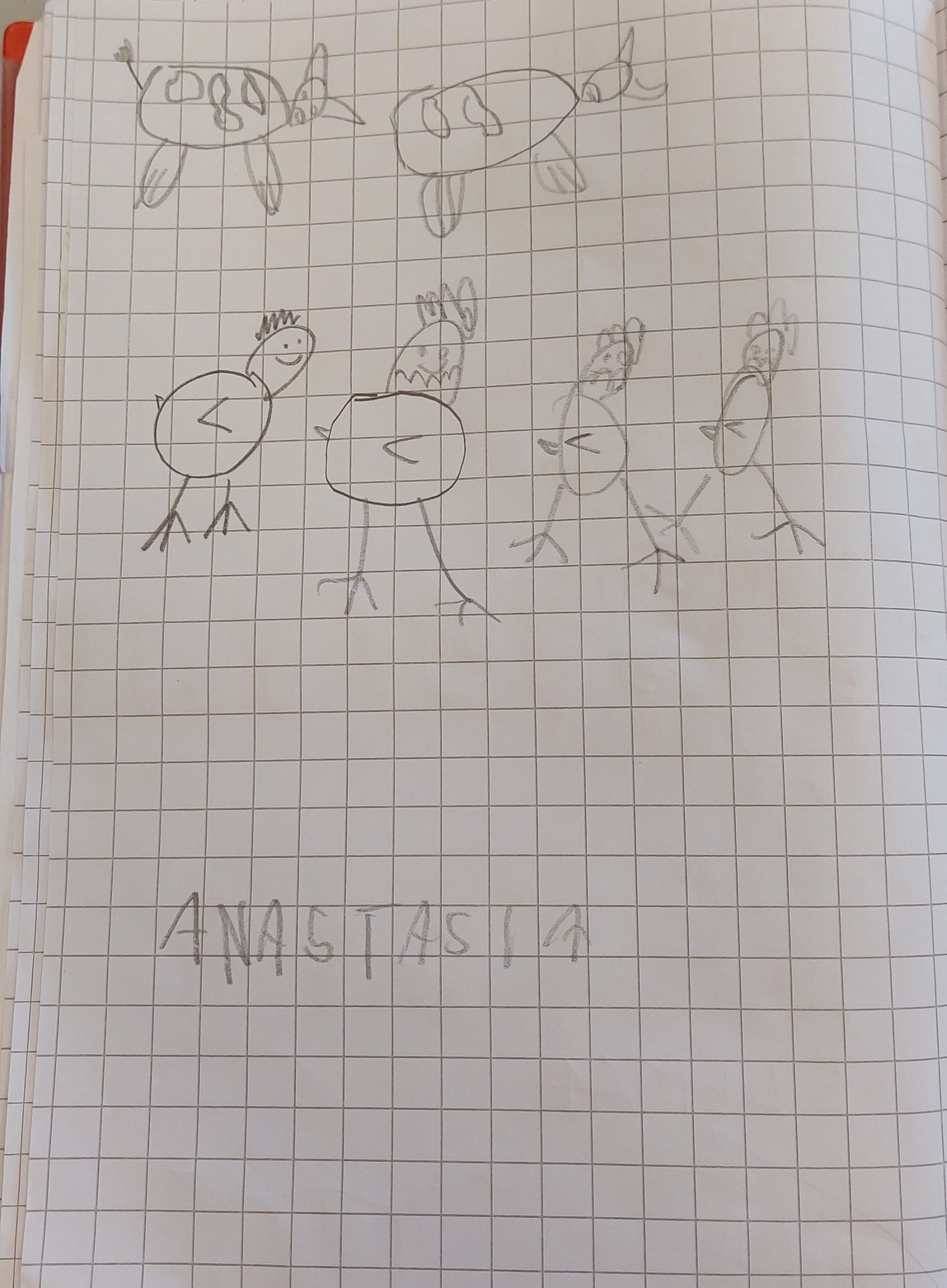 ALLA SCOPERTA DEI PROBLEMI! by Elisa Calo