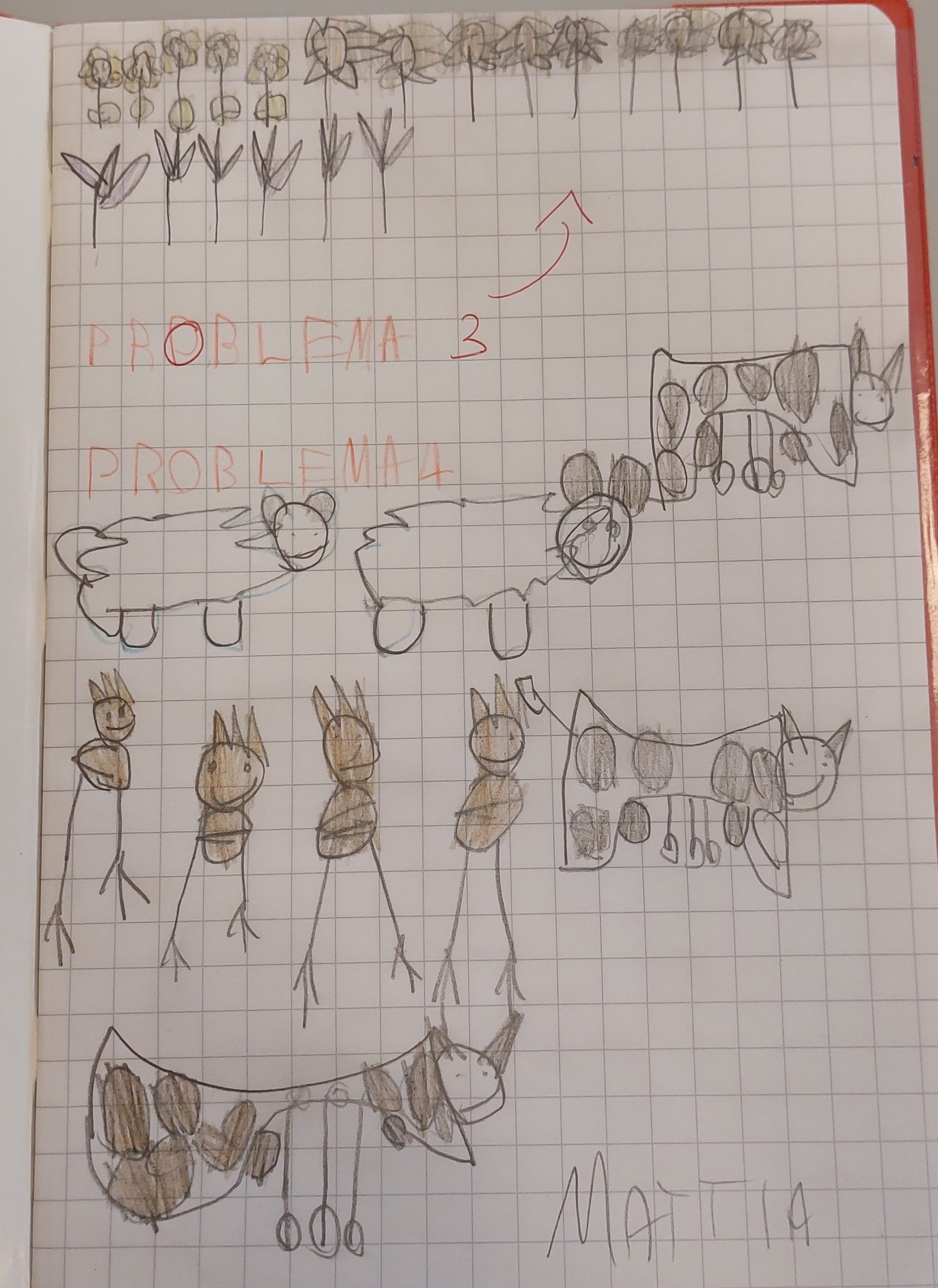 ALLA SCOPERTA DEI PROBLEMI! by Elisa Calo