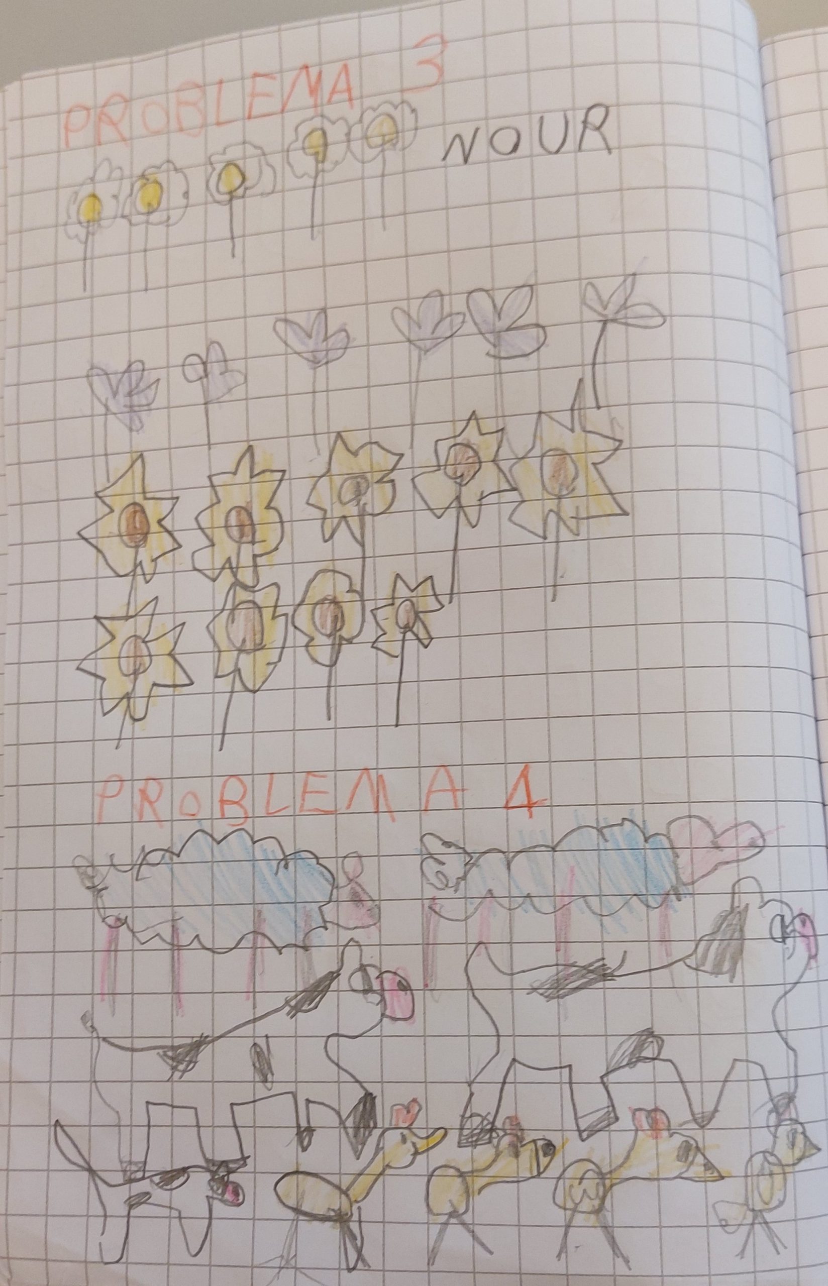 ALLA SCOPERTA DEI PROBLEMI! by Elisa Calo