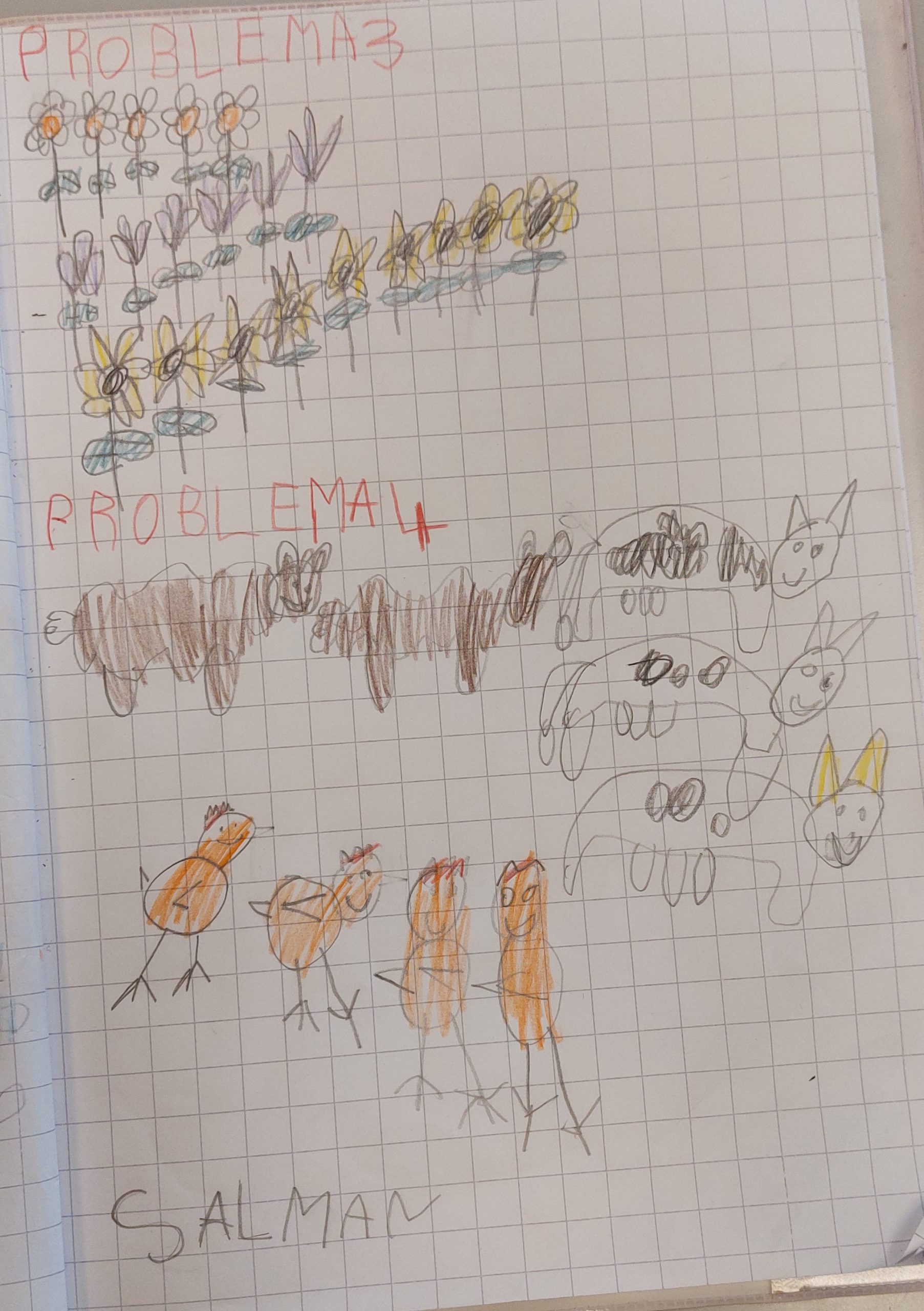 ALLA SCOPERTA DEI PROBLEMI! by Elisa Calo