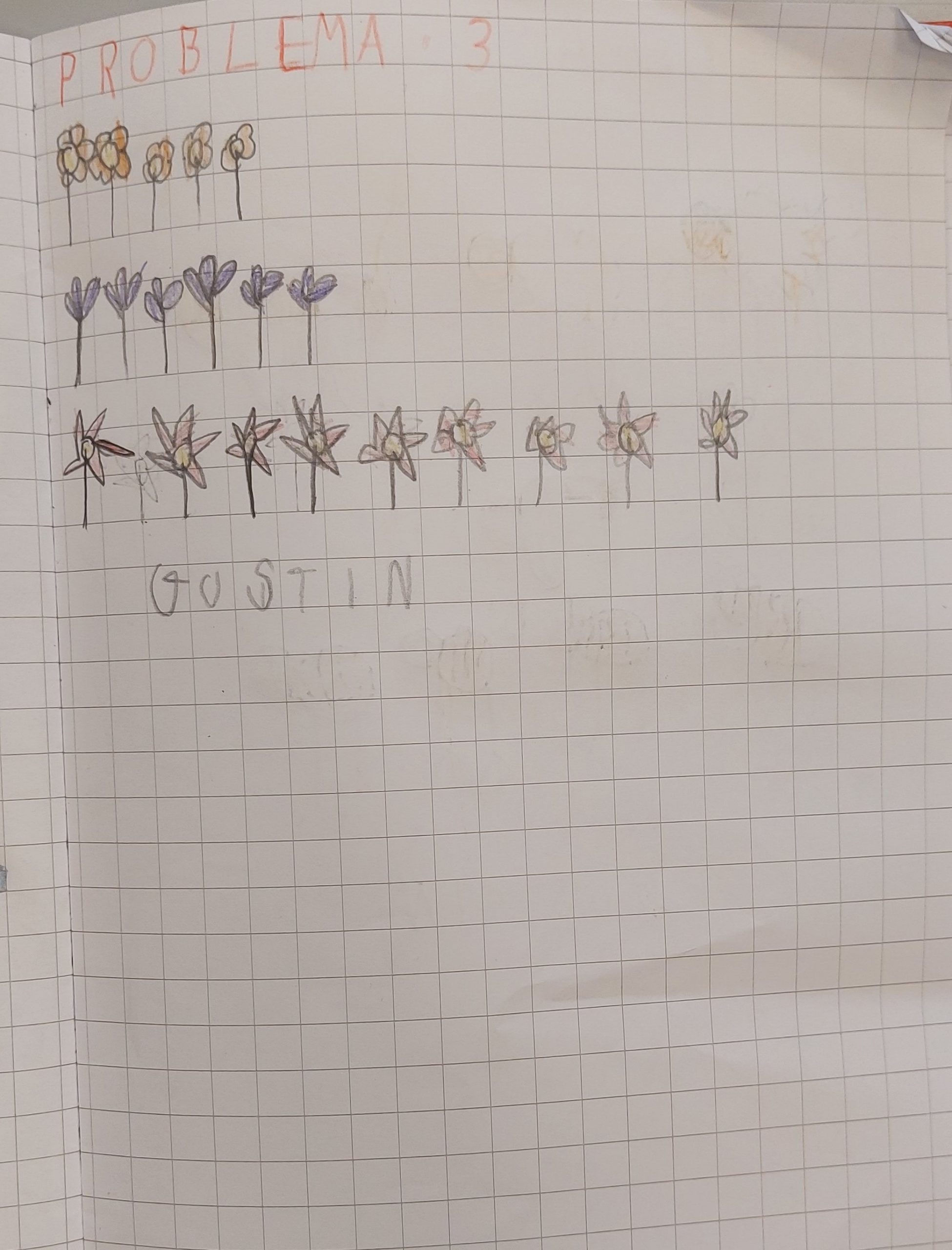 ALLA SCOPERTA DEI PROBLEMI! by Elisa Calo