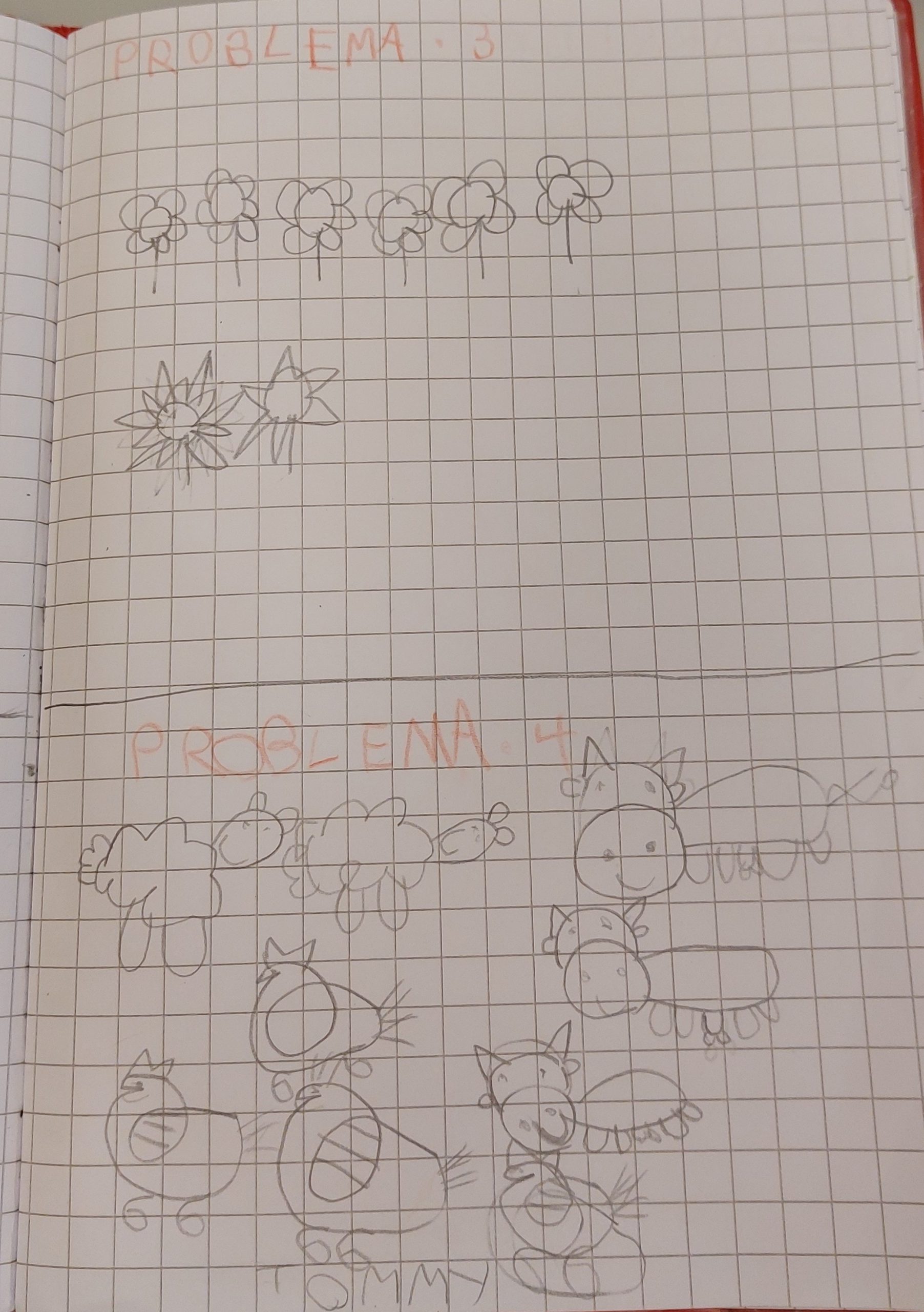 ALLA SCOPERTA DEI PROBLEMI! by Elisa Calo