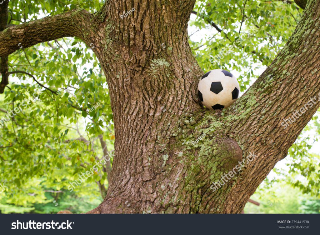 قصة سالم مع كرته by useful - Ourboox.com