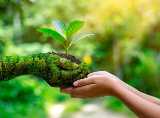 The environment by Lina - Illustrated by Lina Kadan - Ourboox.com