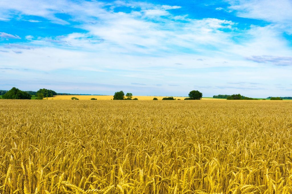 Welcome to Ukraine! by Tetiana - Ourboox.com