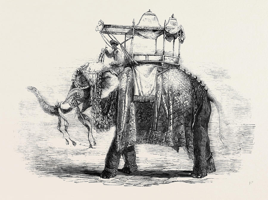 ع͠لُِيٰ ب̲ن͠ أب͡يَ طُـٌالُـب̲ by yasmeen slman - Illustrated by عرين القيسي, ياسمين سلمان - Ourboox.com