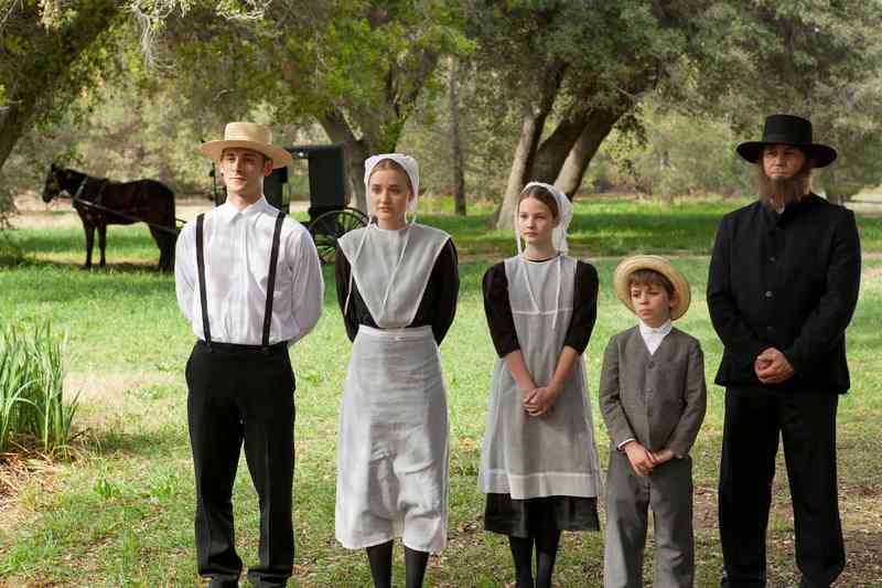 the amish by RONI FRANKEL - Illustrated by roni frankel and talya gadot - Ourboox.com