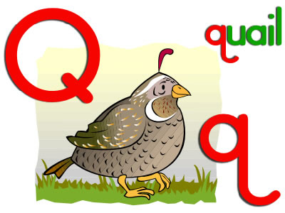 The Alphabet by Cynthia Briggs - Ourboox.com