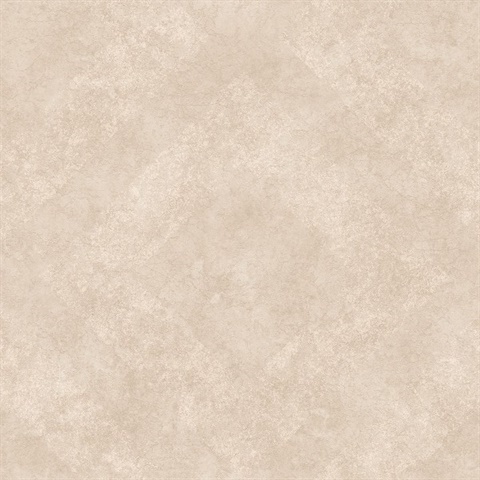 היומן של אמיר