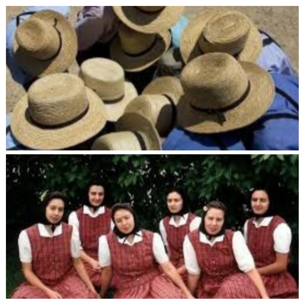 The Amish by hila koifmann - Illustrated by hila koifman and lipaz pinchas. - Ourboox.com