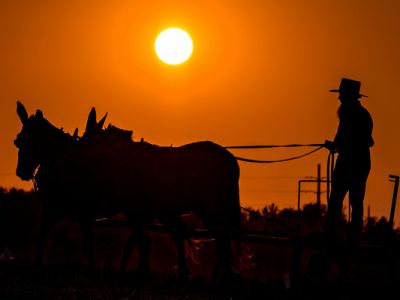 The Amish by adva - Ourboox.com