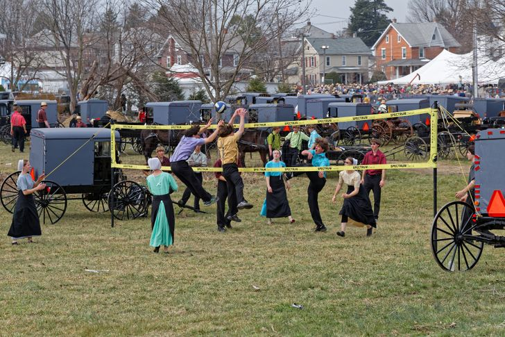 Amish English by Linoy - Illustrated by Amish - Ourboox.com