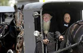 Amish English by Linoy - Illustrated by Amish - Ourboox.com