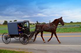 The Amish people by eden brooke - Illustrated by eden brooke & hagit masala - Ourboox.com