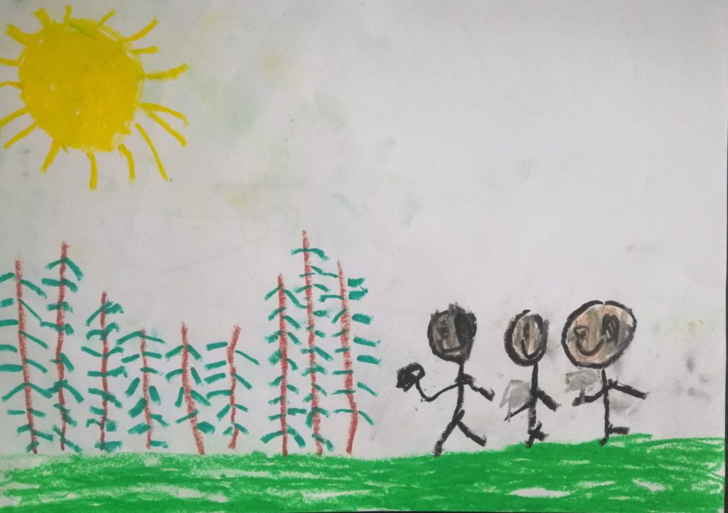 Çam ormanının olduğu şirin mi şirin bir köyde başladı hikayemiz. sıcak bir yaz günü insanlar kendilerine yeni evler yapmak için çam ağaçlarını kesmeye gitmişler.Ağaçların kesildiği sırada bir tane kozalak düşmüş ve yuvarlanıp gitmiş.Giderken bütün ağaçların kesildiğini görüp çok üzülmüş.