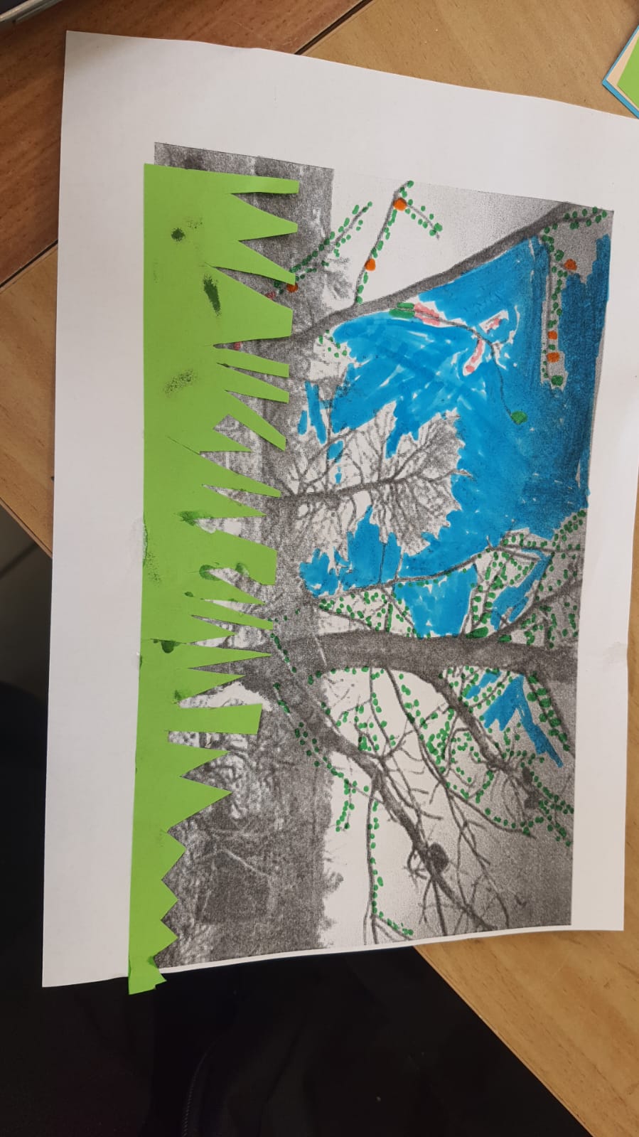 מצמיחים יערות by merav buskila - Ourboox.com