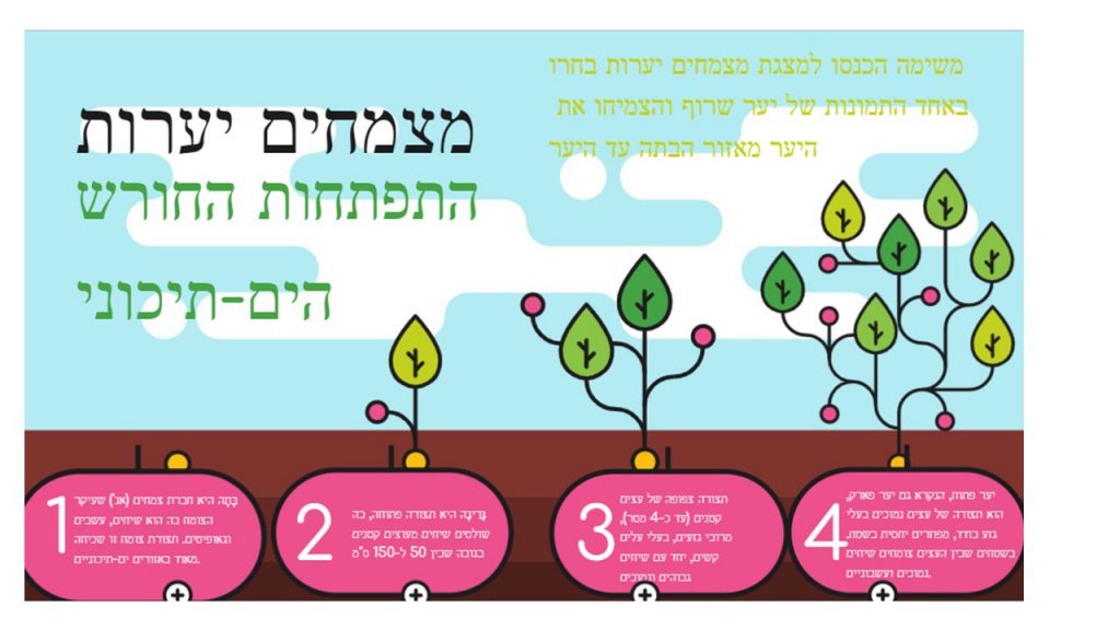 טו בשבט -יצירה by merav buskila - Ourboox.com