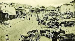 Туристичний потенціал Садгори by Козлова Катерина - Ourboox.com