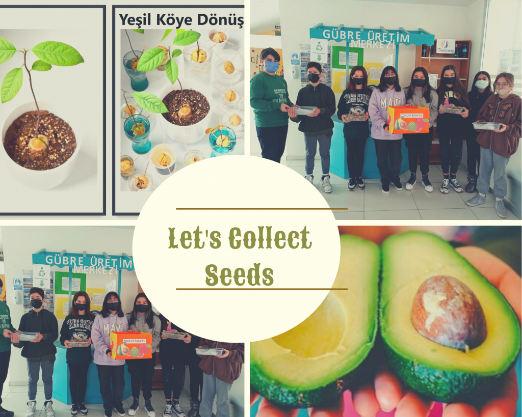 Our January Events by imge yılmaz uyar - Ourboox.com