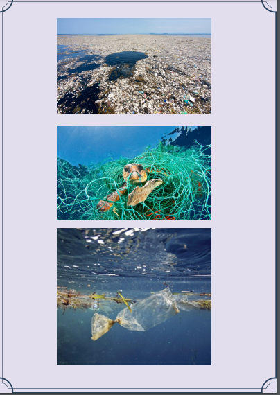 YEŞİL PUSULA by senin evin doğa - Ourboox.com