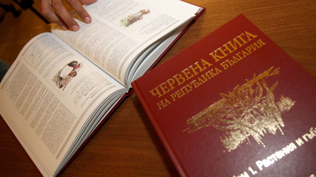 Защитени животни в България by Sashka Petrova - Ourboox.com